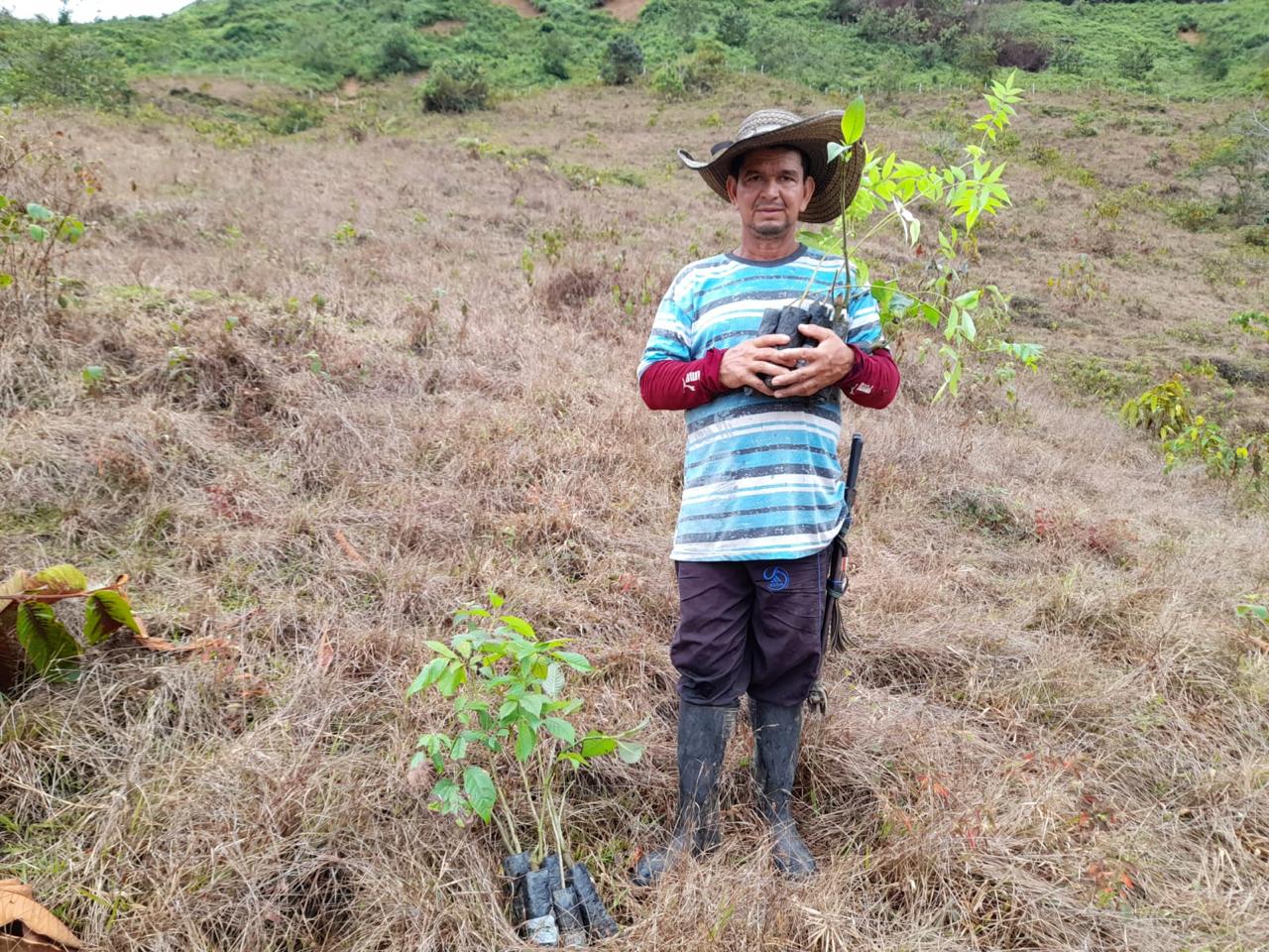 Banco Proyecto Silvopastoril Anorí - ANTIOQUIA - Alianza con Agrosavia.jpeg